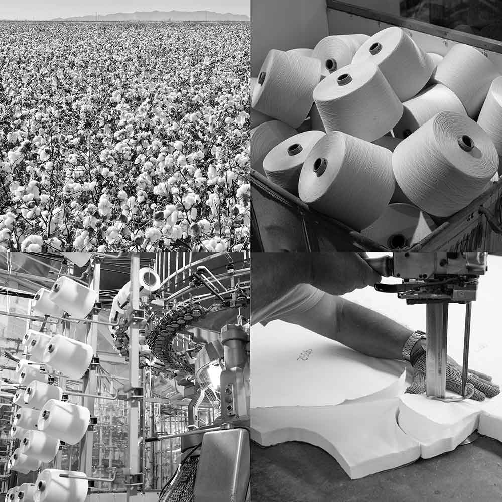 Cotton Photo Montage